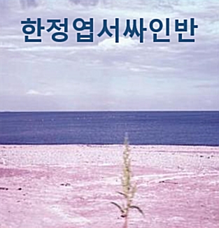 [중고] 정밀아 - 정규 1집 그리움도 병 [재발매]