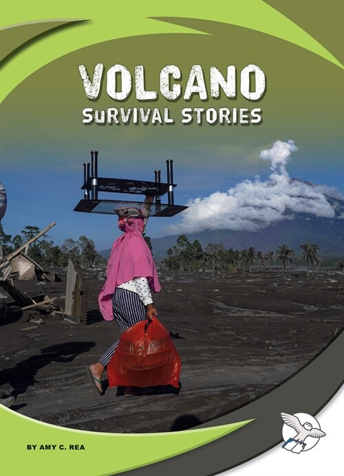 Volcano Survival Stories (Library Binding)