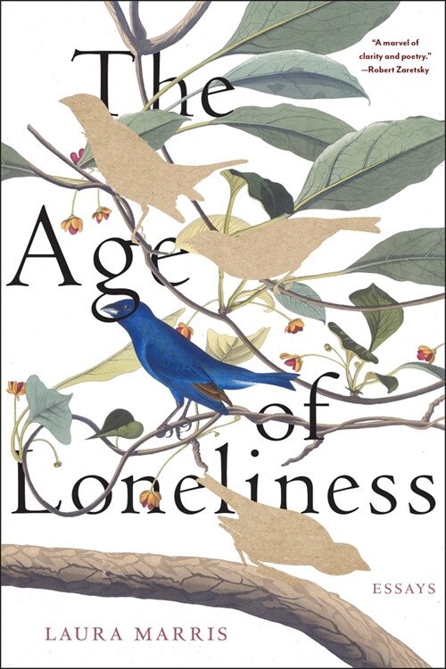 The Age of Loneliness: Essays (Paperback)