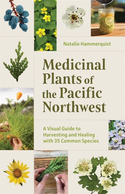 Medicinal Plants of the Pacific Northwest: A Visual Guide to Harvesting and Healing with 35 Common Species (Paperback)