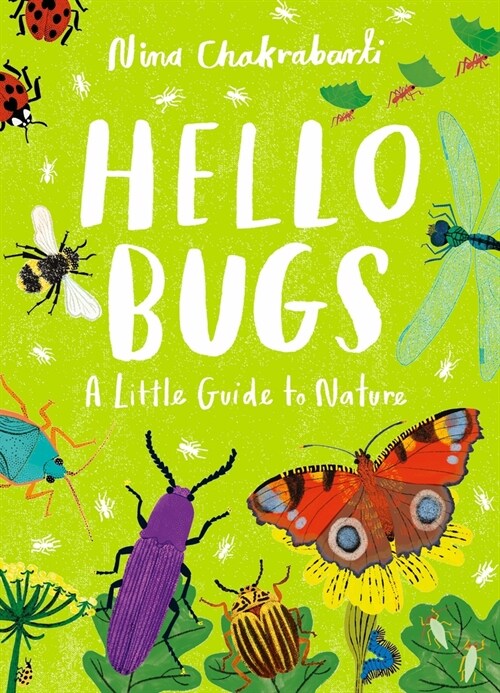 Hello Bugs: A Little Guide to Nature (Hardcover)