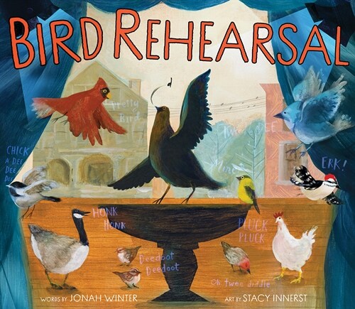 Bird Rehearsal: A Picture Book (Hardcover)