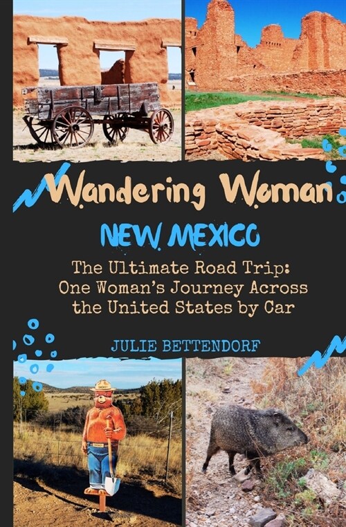 Wandering Woman: New Mexico: The Ultimate Road Trip: One Womans Journey Across the United States by Car (Paperback)