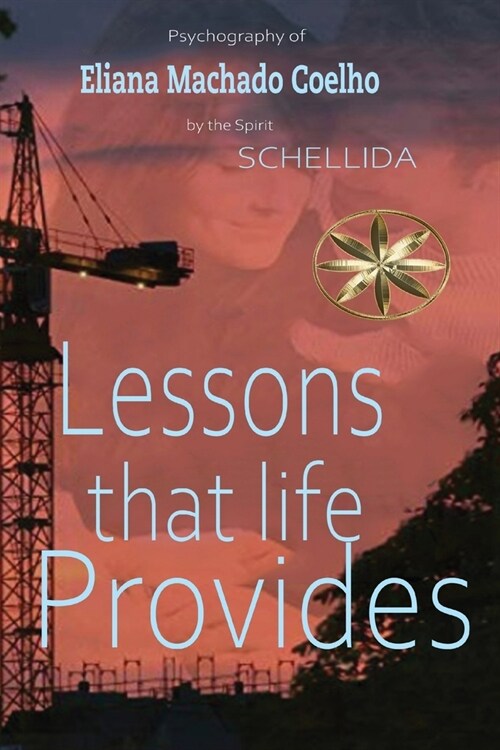 Lessons That Life Provides (Paperback)
