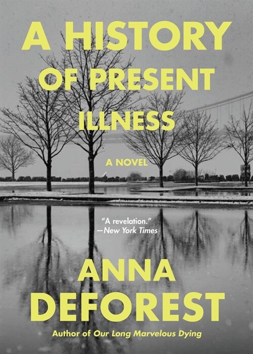 A History of Present Illness (Paperback)