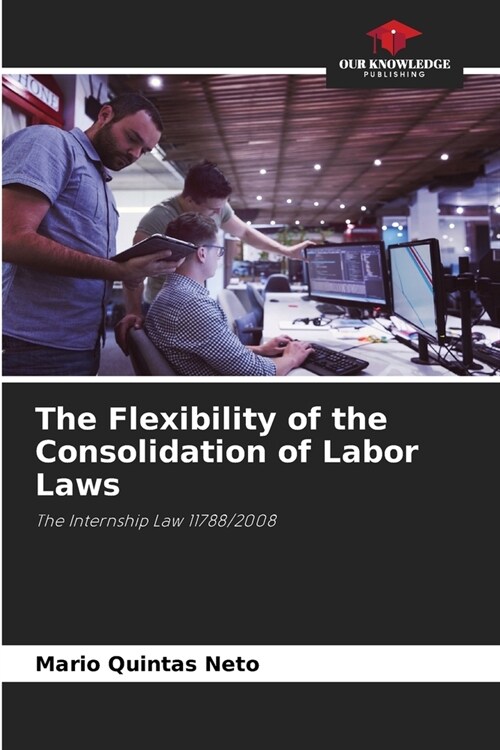 The Flexibility of the Consolidation of Labor Laws (Paperback)