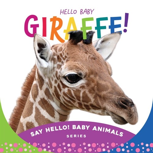 Hello Baby Giraffe! (Board Books)