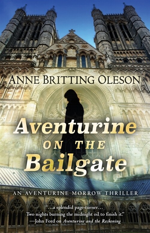 Aventurine on the Bailgate (Paperback)