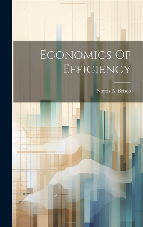 Economics Of Efficiency (Hardcover)