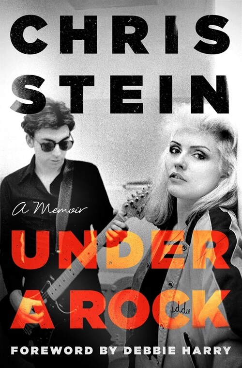 Under a Rock: A Memoir (Hardcover)