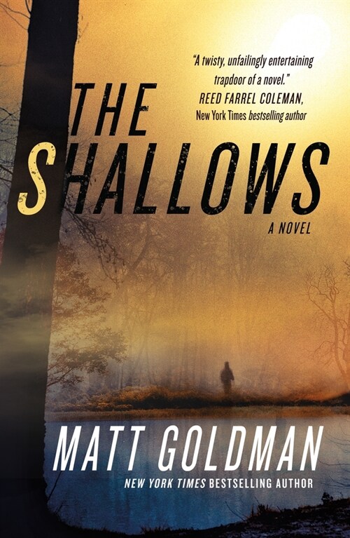 The Shallows: A Nils Shapiro Novel (Paperback)
