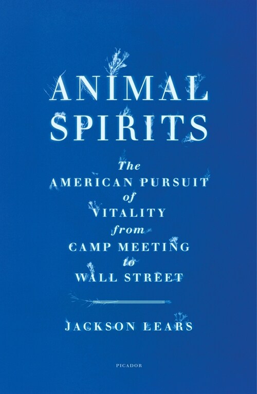 Animal Spirits (Paperback)