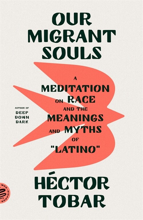 Our Migrant Souls: A Meditation on Race and the Meanings and Myths of Latino (Paperback)