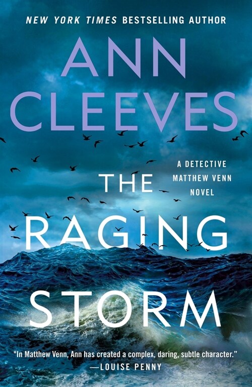 The Raging Storm: A Detective Matthew Venn Novel (Paperback)