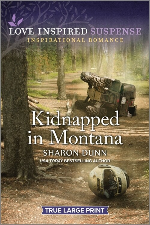 Kidnapped in Montana (Paperback, Original)