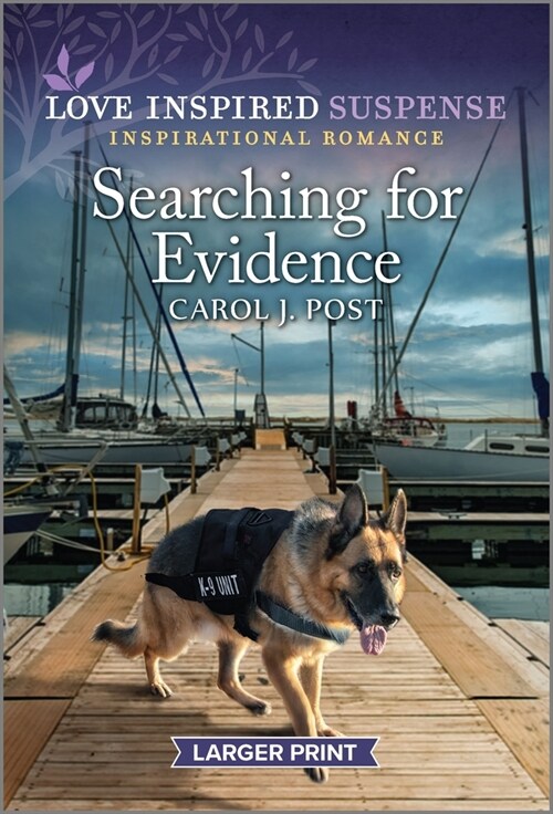 Searching for Evidence (Mass Market Paperback, Original)