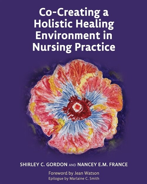 Co-Creating a Holistic Healing Environment in Nursing Practice (Paperback)