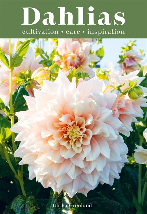 Dahlias : Inspiration, Cultivation and Care for 222 Varieties (Hardcover)