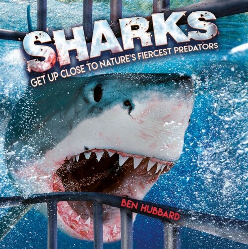 Sharks: Get Up Close to Natures Fiercest Predators (Paperback)