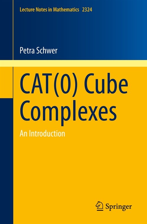 Cat(0) Cube Complexes: An Introduction (Paperback, 2023)