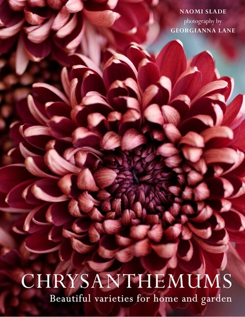 Chrysanthemums : Beautiful Varieties for Home and Garden (Hardcover)