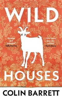 Wild Houses : One of the Observer's Debut Novels of 2024 (Paperback)