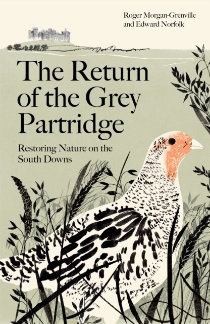 The Return of the Grey Partridge : Restoring Nature on the South Downs (Hardcover)