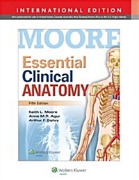 Essential Clinical Anatomy (Paperback)