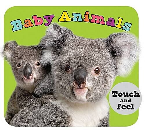 Baby Animals (Hardcover)