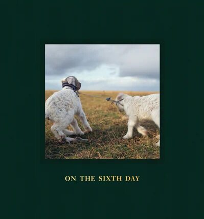 On the Sixth Day (Hardcover)