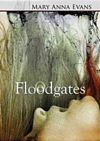 Floodgates Lib/E (Audio CD)