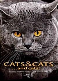 Cats, Cats...and More Cats! (Hardcover)