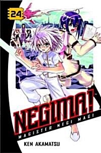 Negima! 24 (Paperback)