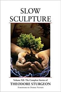 Slow Sculpture (Hardcover)