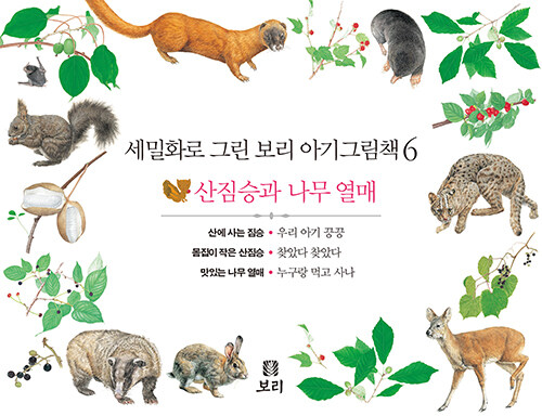 [중고] 세밀화로 그린 보리 아기그림책 6 (보드북, 전3권, 2판)