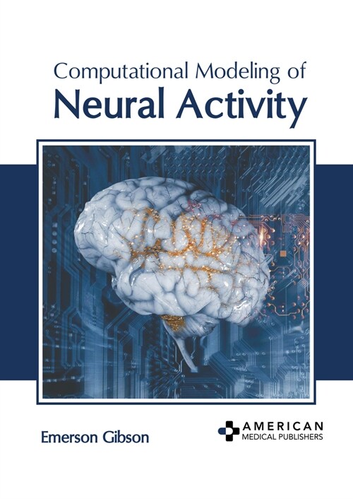 Computational Modeling of Neural Activity (Hardcover)