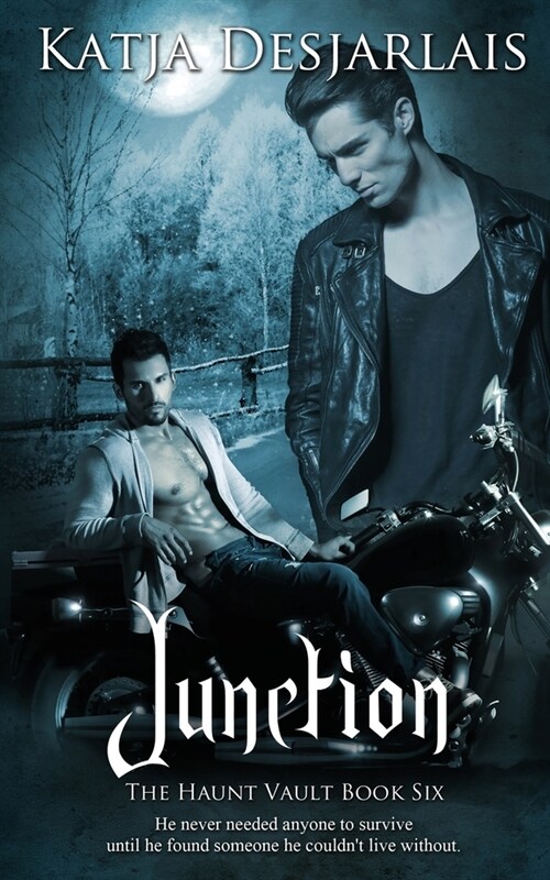 Junction (Paperback)