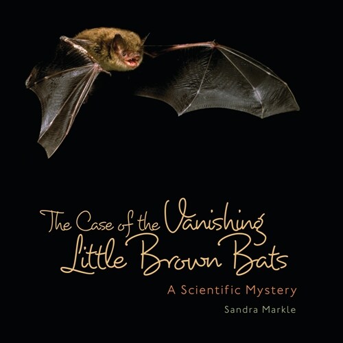 The Case of the Vanishing Little Brown Bats: A Scientific Mystery (Paperback)