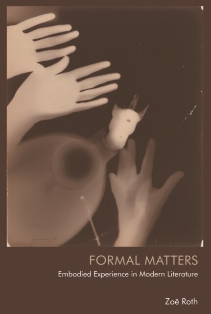 Formal Matters : Embodied Experience in Modern Literature (Paperback)