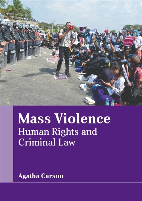 Mass Violence: Human Rights and Criminal Law (Hardcover)
