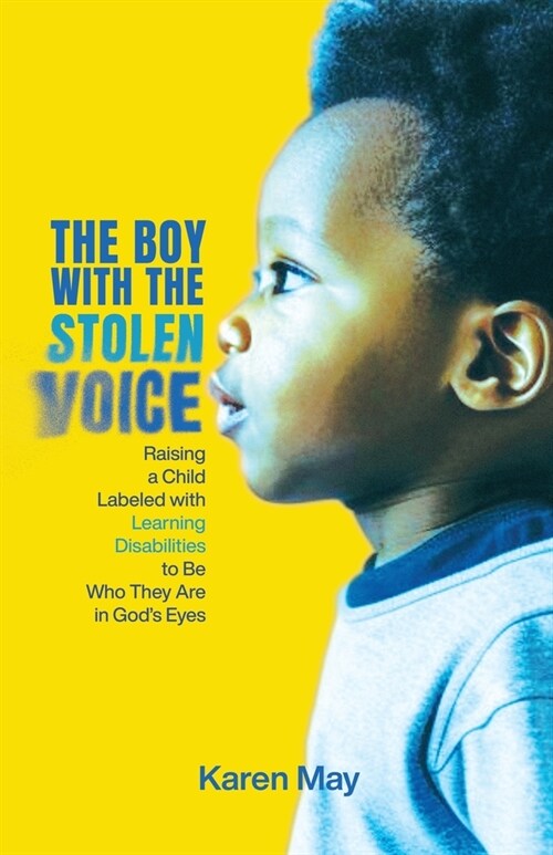 The Boy with the Stolen Voice: Raising a Child Labeled with Learning Disabilities to Be Who They Are in Gods Eyes (Paperback)