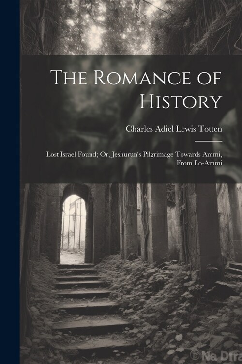 The Romance of History: Lost Israel Found; Or, Jeshuruns Pilgrimage Towards Ammi, From Lo-Ammi (Paperback)