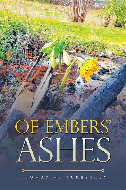 Of Embers Ashes (Paperback)