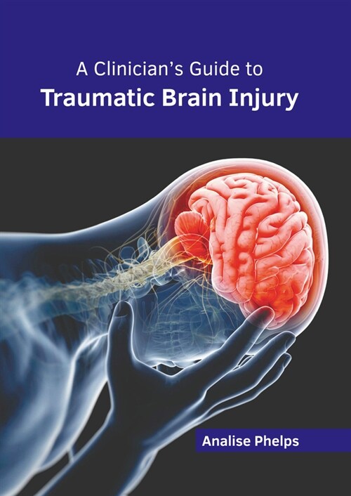 A Clinicians Guide to Traumatic Brain Injury (Hardcover)