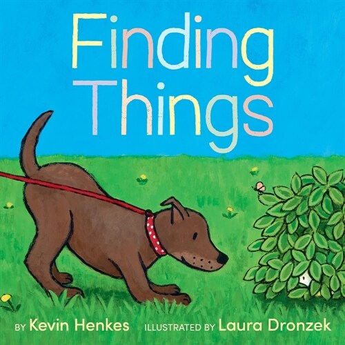 Finding Things (Hardcover)
