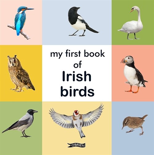 My First Book of Irish Birds (Hardcover)