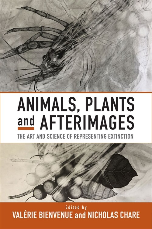 Animals, Plants and Afterimages : The Art and Science of Representing Extinction (Paperback)