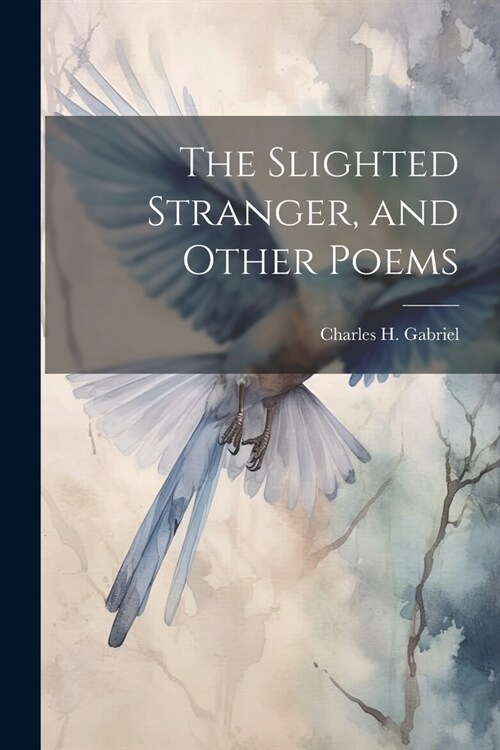 The Slighted Stranger, and Other Poems (Paperback)