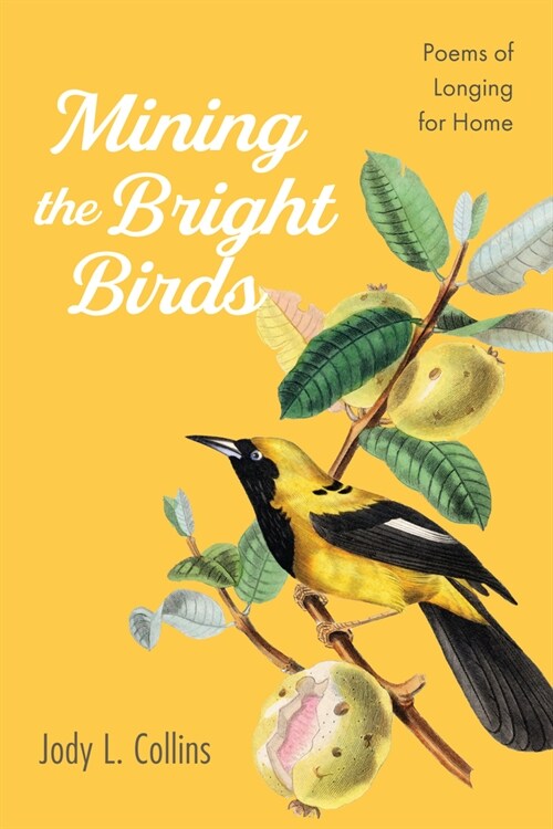 Mining the Bright Birds (Paperback)