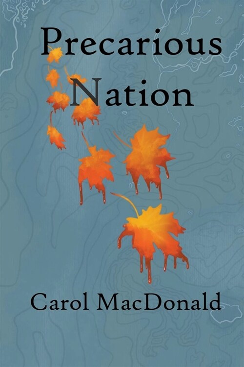 Precarious Nation (Paperback)